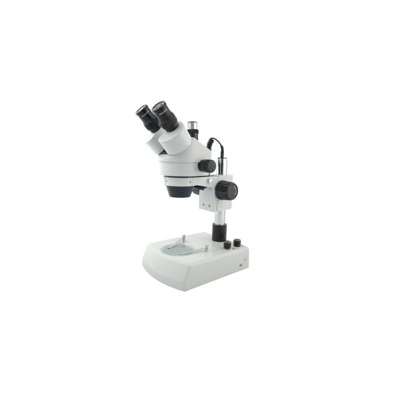 Microscopio Estereoscópico BMS S-05-L